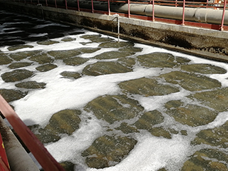 厦门某食品厂工业污水处理应用